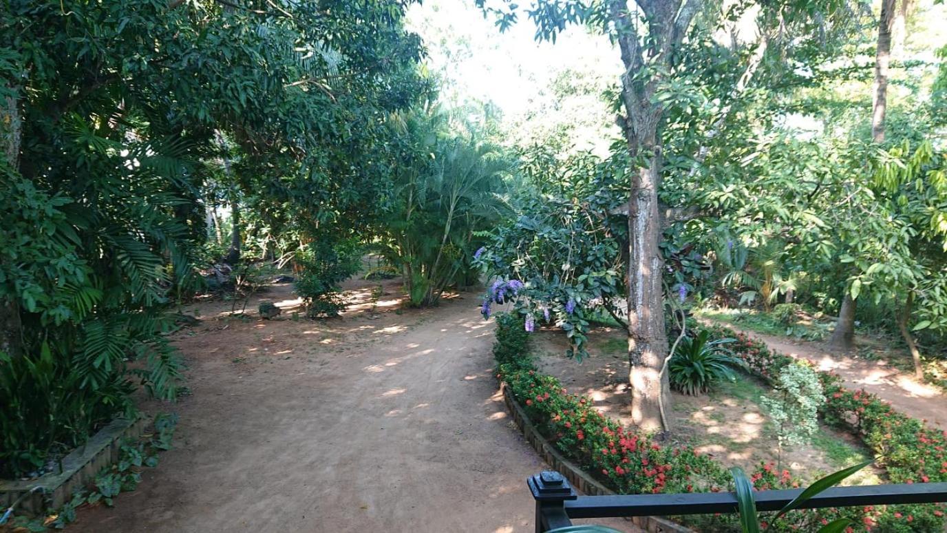 Leopard City Hostel Yala Тіссамахарама Екстер'єр фото