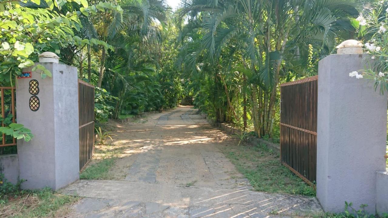 Leopard City Hostel Yala Тіссамахарама Екстер'єр фото