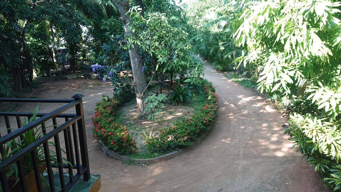 Leopard City Hostel Yala Тіссамахарама Екстер'єр фото