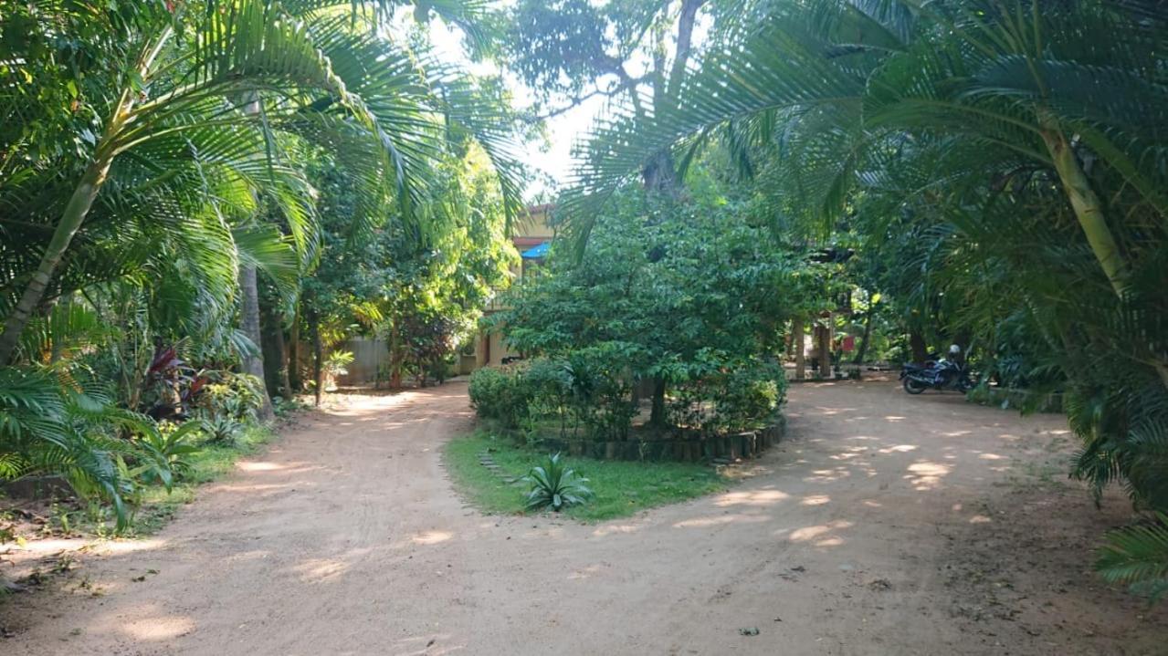 Leopard City Hostel Yala Тіссамахарама Екстер'єр фото